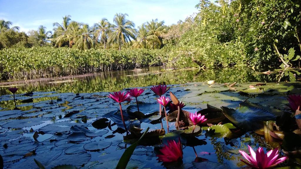 Hotel Rio Mar บาร์ฮาเดเซามิเกล ภายนอก รูปภาพ